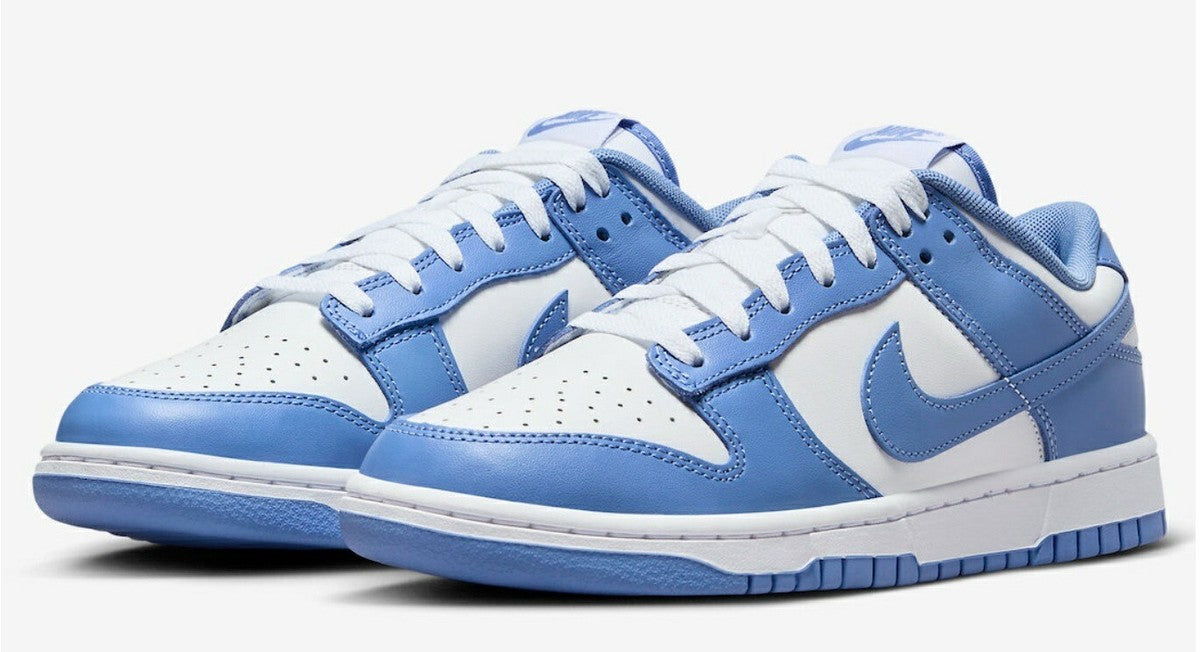 Nike Dunk Low Polar Blue